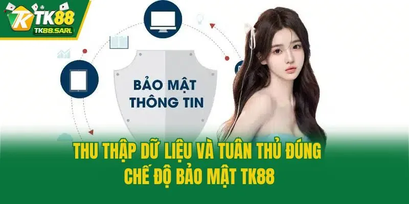 Chế Độ Bảo Mật TK88 2 Thu thập dữ liệu và tuân thủ đúng chế độ bảo mật TK88