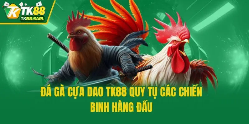 Đá Gà Cựa Dao Tk88 - Sân Chơi Sống Còn Của Những Chiến Kê 3 Đá gà cựa dao TK88 quy tụ các chiến binh hàng đầu