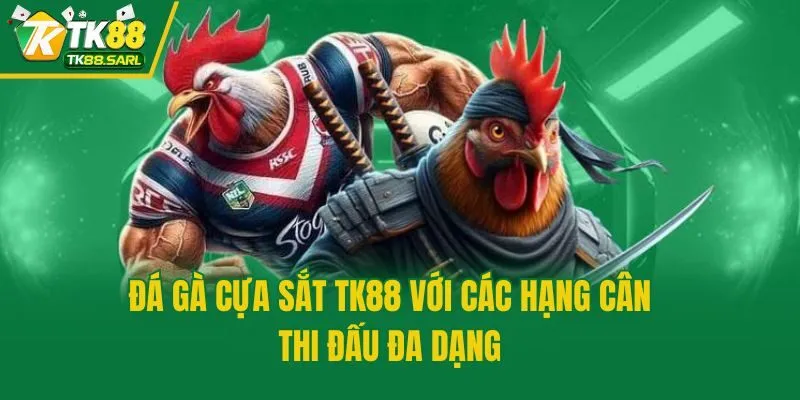 Đá Gà Cựa Sắt TK88 - Thăng Hoa Cảm Xúc Cùng Trận Đấu Máu Lửa 3 Đá gà cựa sắt TK88 với các hạng cân thi đấu đa dạng