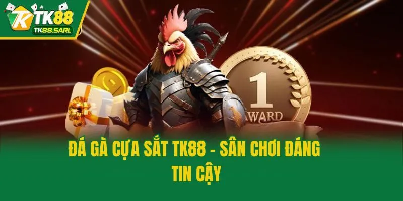 Đá Gà Cựa Sắt TK88 - Thăng Hoa Cảm Xúc Cùng Trận Đấu Máu Lửa 2 Đá gà cựa sắt TK88 - Sân chơi đáng tin cậy