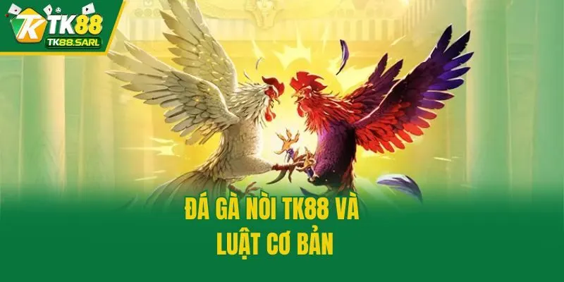 Đá Gà Nòi TK88 - Tìm Hiểu Luật Chơi Cho Kê Thủ Mới Tham Gia 3 Đá gà nòi TK88 và luật cơ bản